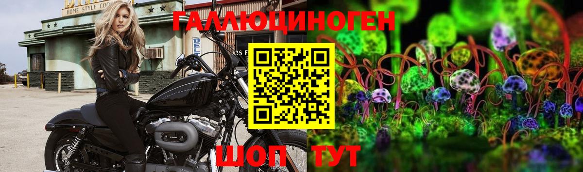 Галлюциногенные грибы MAGIC MUSHROOMS  Вход с VPN  Псилоцибиновые грибы Psilocybine cubensis  Ноябрьск 